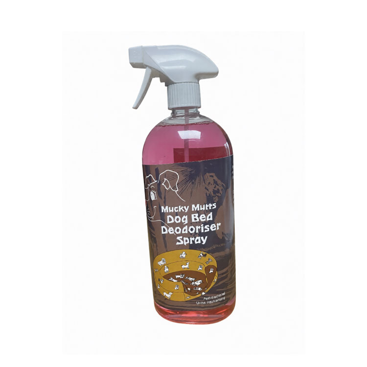 pet-care-featured